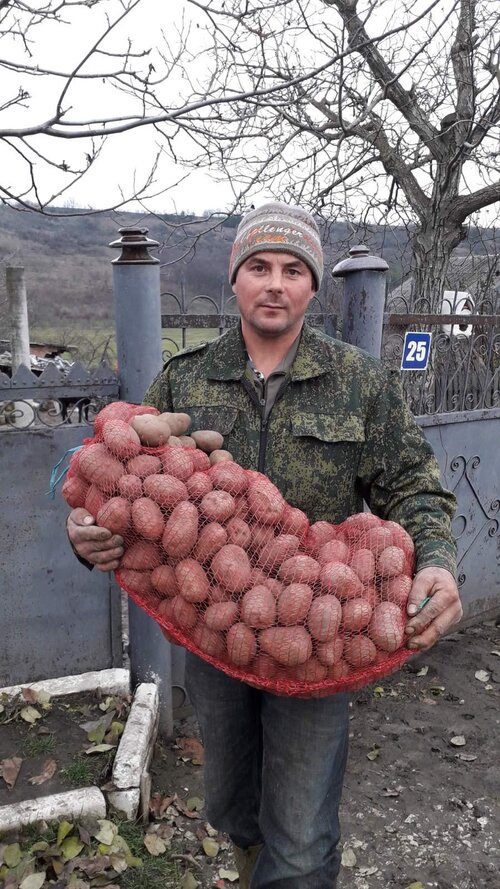 Moldova photo